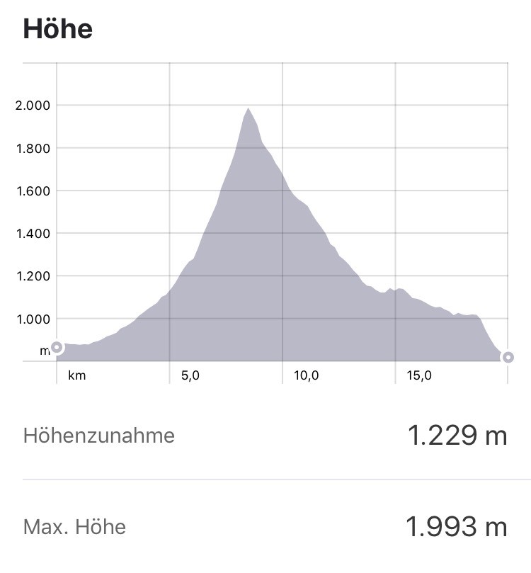 s4t T31 Höhenprofil