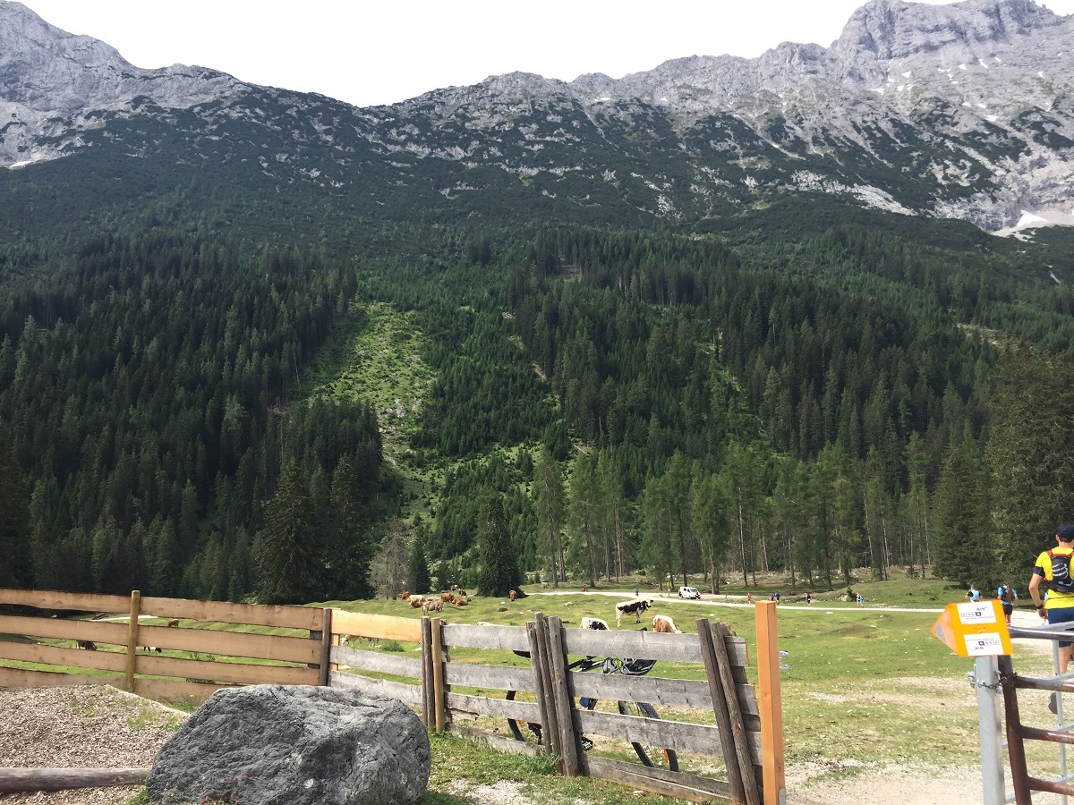 s4t T32 Landschaft kl