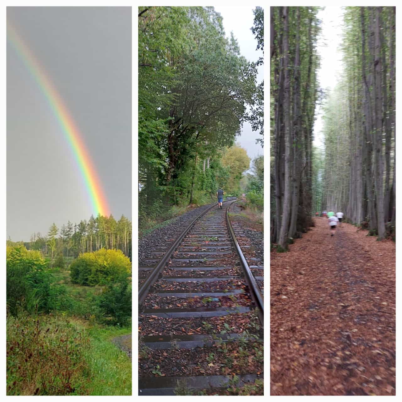 2c6afd1c26fd4639a93a4f70bf15cfe1