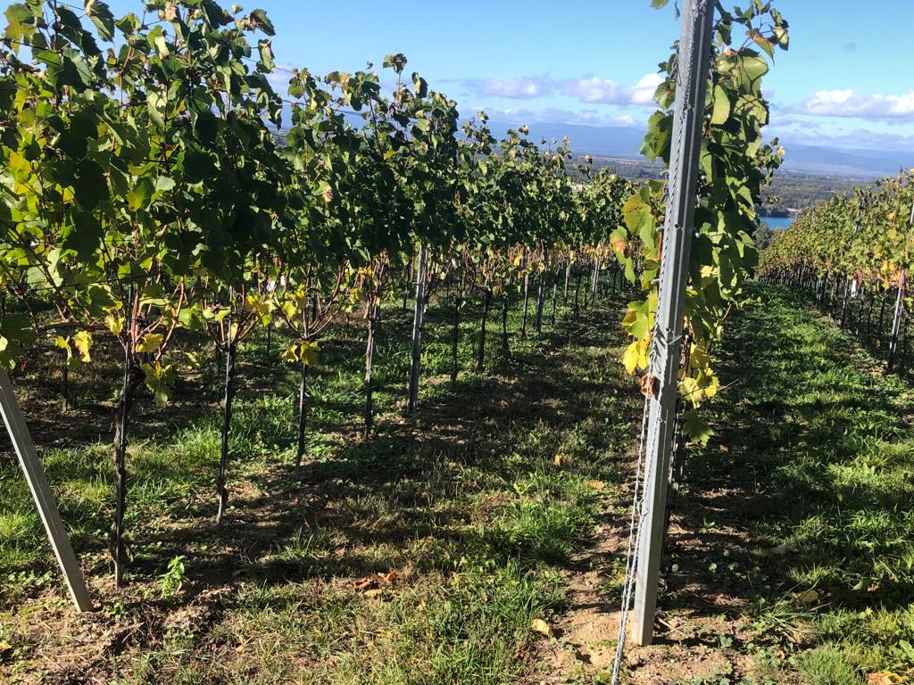 7db5e757b5f24d2b8f0ef1f59aebedfb