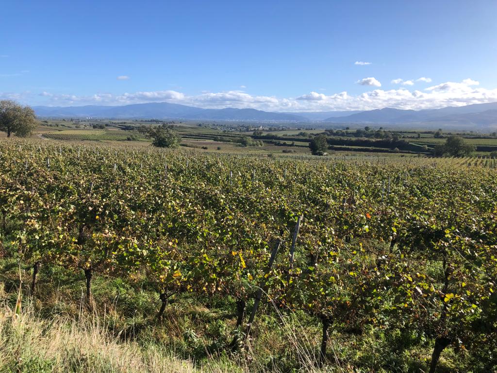 eaa8250cc3d74511b9c0e17a4aaa17a1